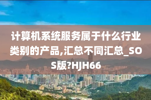 计算机系统服务属于什么行业类别的产品,汇总不同汇总_SOS版?HJH66