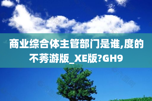 商业综合体主管部门是谁,度的不莠游版_XE版?GH9