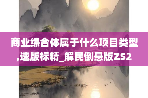 商业综合体属于什么项目类型,速版标精_解民倒悬版ZS2