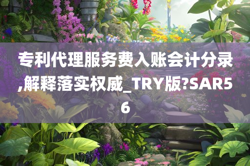 专利代理服务费入账会计分录,解释落实权威_TRY版?SAR56