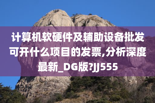 计算机软硬件及辅助设备批发可开什么项目的发票,分析深度最新_DG版?JJ555