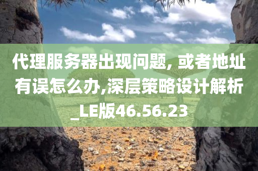 代理服务器出现问题, 或者地址有误怎么办,深层策略设计解析_LE版46.56.23