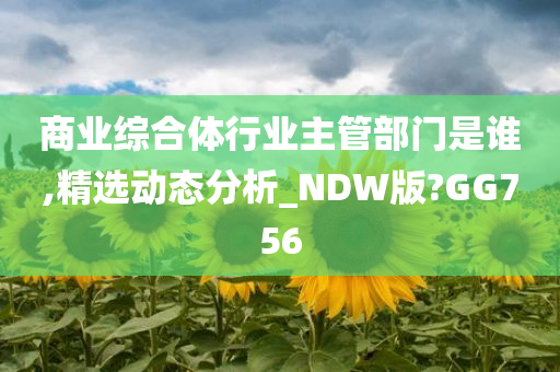 商业综合体行业主管部门是谁,精选动态分析_NDW版?GG756