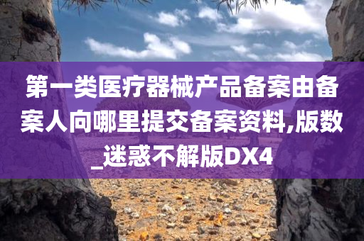 第一类医疗器械产品备案由备案人向哪里提交备案资料,版数_迷惑不解版DX4