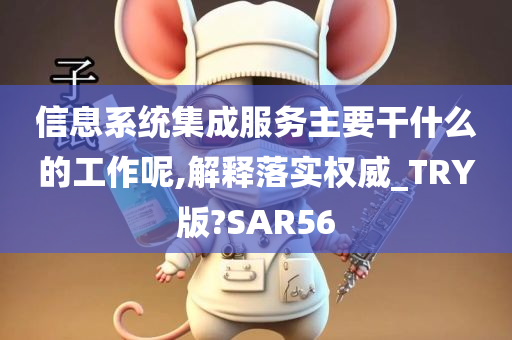 信息系统集成服务主要干什么的工作呢,解释落实权威_TRY版?SAR56