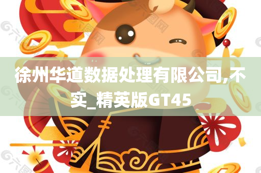 徐州华道数据处理有限公司,不实_精英版GT45