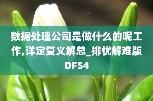 数据处理公司是做什么的呢工作,详定复义解总_排忧解难版DFS4