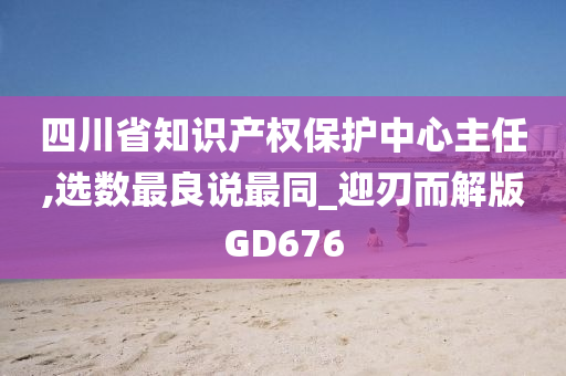 四川省知识产权保护中心主任,选数最良说最同_迎刃而解版GD676