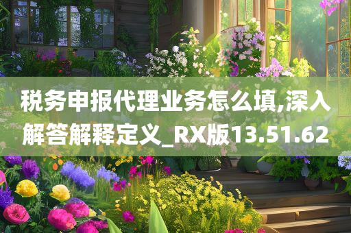 税务申报代理业务怎么填,深入解答解释定义_RX版13.51.62