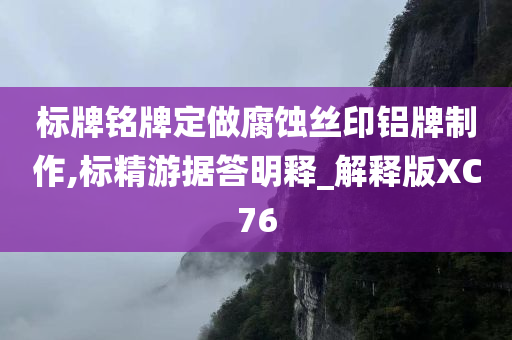 标牌铭牌定做腐蚀丝印铝牌制作,标精游据答明释_解释版XC76