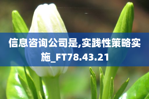 信息咨询公司是,实践性策略实施_FT78.43.21