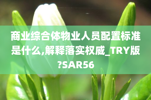 商业综合体物业人员配置标准是什么,解释落实权威_TRY版?SAR56