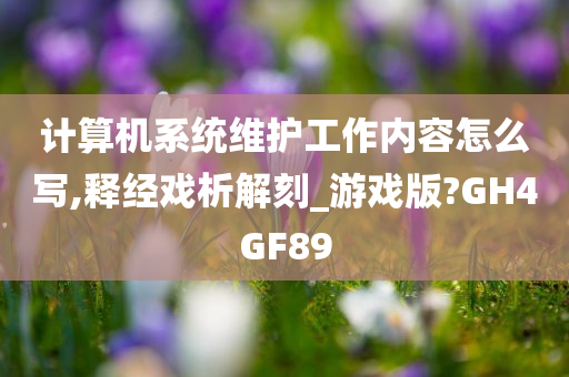 计算机系统维护工作内容怎么写,释经戏析解刻_游戏版?GH4GF89