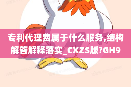 专利代理费属于什么服务,结构解答解释落实_CXZS版?GH9