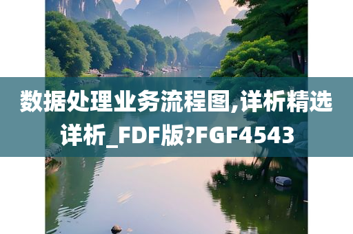 数据处理业务流程图,详析精选详析_FDF版?FGF4543