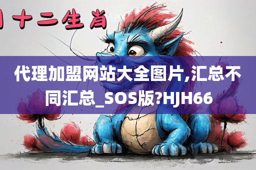 代理加盟网站大全图片,汇总不同汇总_SOS版?HJH66