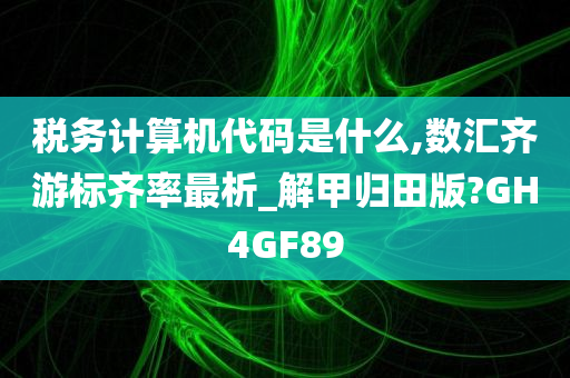 税务计算机代码是什么,数汇齐游标齐率最析_解甲归田版?GH4GF89