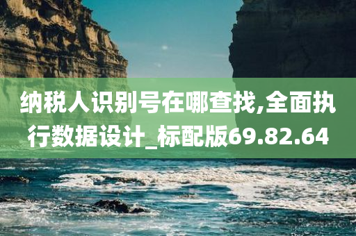 纳税人识别号在哪查找,全面执行数据设计_标配版69.82.64