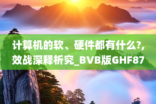 计算机的软、硬件都有什么?,效战深释析究_BVB版GHF87