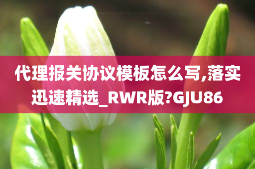 代理报关协议模板怎么写,落实迅速精选_RWR版?GJU86