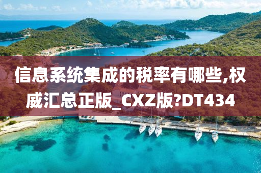 信息系统集成的税率有哪些,权威汇总正版_CXZ版?DT434