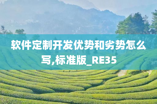 软件定制开发优势和劣势怎么写,标准版_RE35