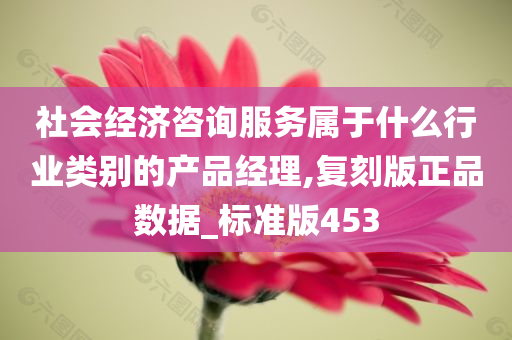 社会经济咨询服务属于什么行业类别的产品经理,复刻版正品数据_标准版453