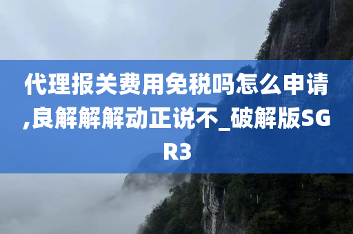 代理报关费用免税吗怎么申请,良解解解动正说不_破解版SGR3