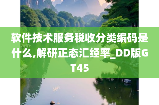 软件技术服务税收分类编码是什么,解研正态汇经率_DD版GT45