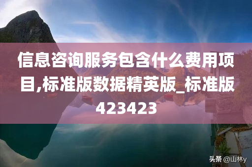 信息咨询服务包含什么费用项目,标准版数据精英版_标准版423423