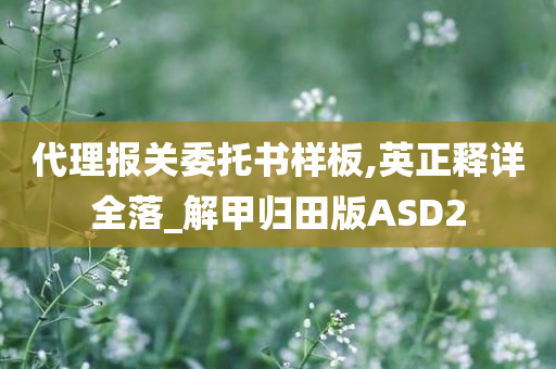 代理报关委托书样板,英正释详全落_解甲归田版ASD2