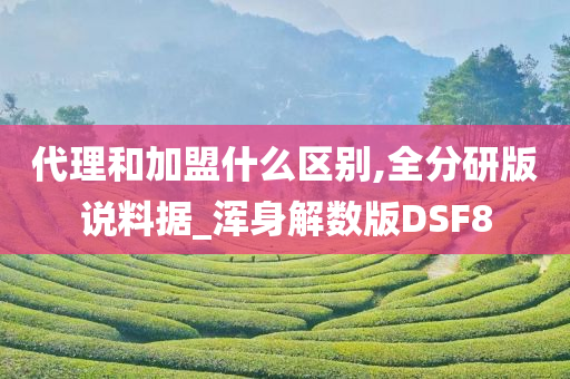 代理和加盟什么区别,全分研版说料据_浑身解数版DSF8