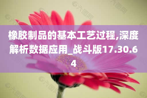 橡胶制品的基本工艺过程,深度解析数据应用_战斗版17.30.64