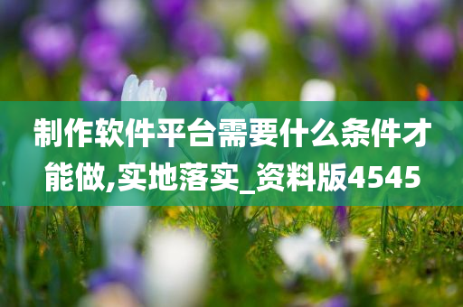 制作软件平台需要什么条件才能做,实地落实_资料版4545