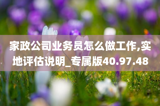 家政公司业务员怎么做工作,实地评估说明_专属版40.97.48