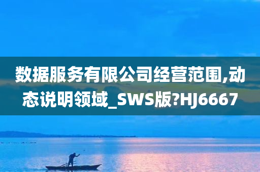 数据服务有限公司经营范围,动态说明领域_SWS版?HJ6667