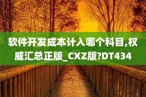 软件开发成本计入哪个科目,权威汇总正版_CXZ版?DT434