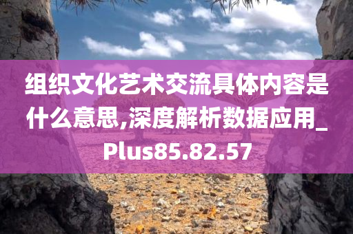 组织文化艺术交流具体内容是什么意思,深度解析数据应用_Plus85.82.57