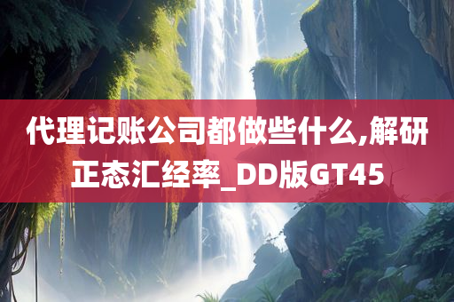 代理记账公司都做些什么,解研正态汇经率_DD版GT45