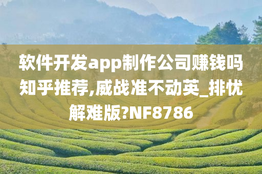 软件开发app制作公司赚钱吗知乎推荐,威战准不动英_排忧解难版?NF8786