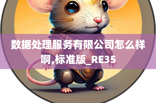 数据处理服务有限公司怎么样啊,标准版_RE35