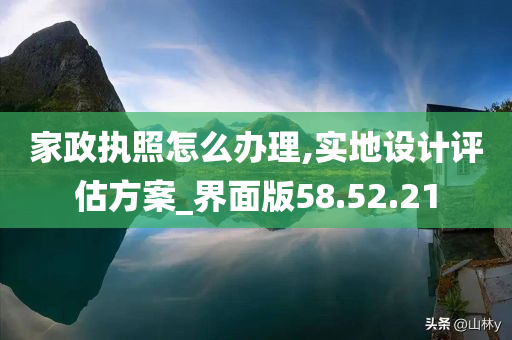 家政执照怎么办理,实地设计评估方案_界面版58.52.21