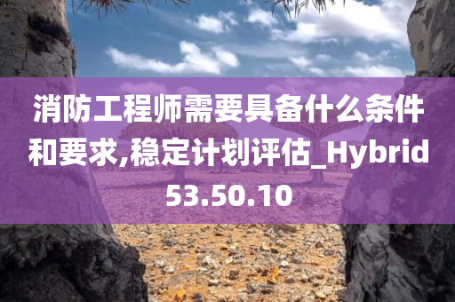 消防工程师需要具备什么条件和要求,稳定计划评估_Hybrid53.50.10