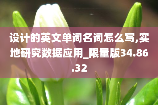 设计的英文单词名词怎么写,实地研究数据应用_限量版34.86.32