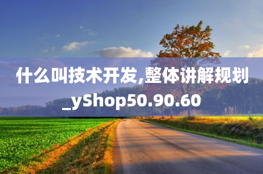 什么叫技术开发,整体讲解规划_yShop50.90.60