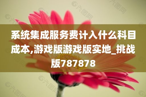 系统集成服务费计入什么科目成本,游戏版游戏版实地_挑战版787878