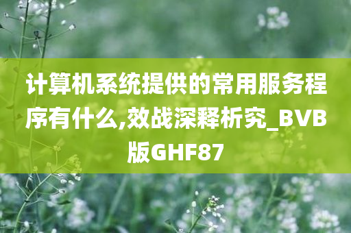 计算机系统提供的常用服务程序有什么,效战深释析究_BVB版GHF87