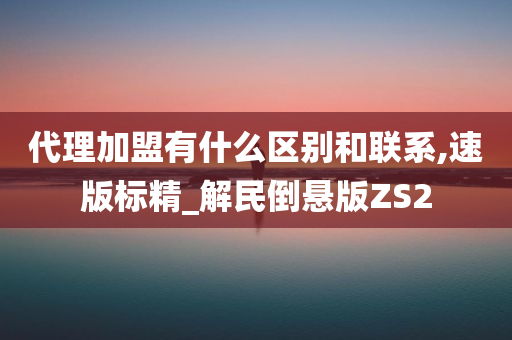 代理加盟有什么区别和联系,速版标精_解民倒悬版ZS2