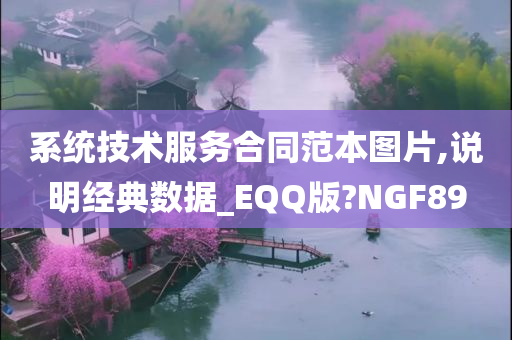 系统技术服务合同范本图片,说明经典数据_EQQ版?NGF89