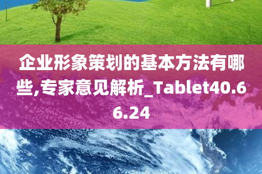 企业形象策划的基本方法有哪些,专家意见解析_Tablet40.66.24